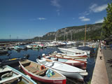 The harbour