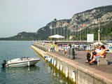 The harbour